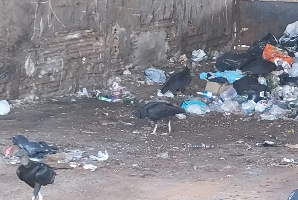 2274e8c863a0425c098539e1888390db